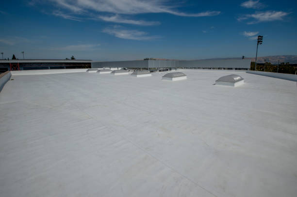 Best Roof Maintenance and Cleaning  in Rossmoyne, OH